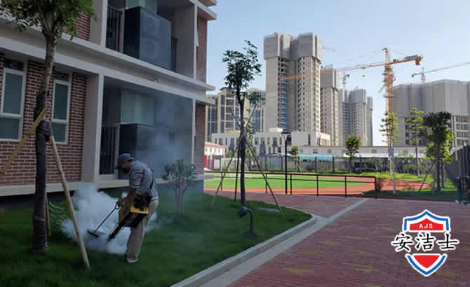 工厂工地除白蚁