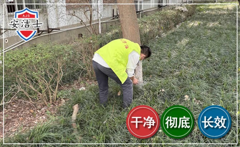 2026年校园消灭老鼠的特殊性和迫切性