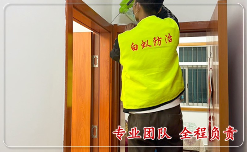 房屋建筑防治白蚁