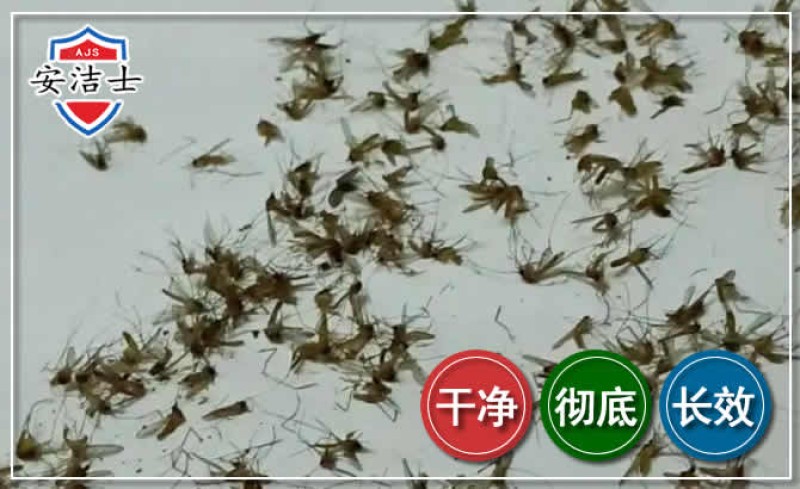 2026年下半年环境防疫工作的新要求