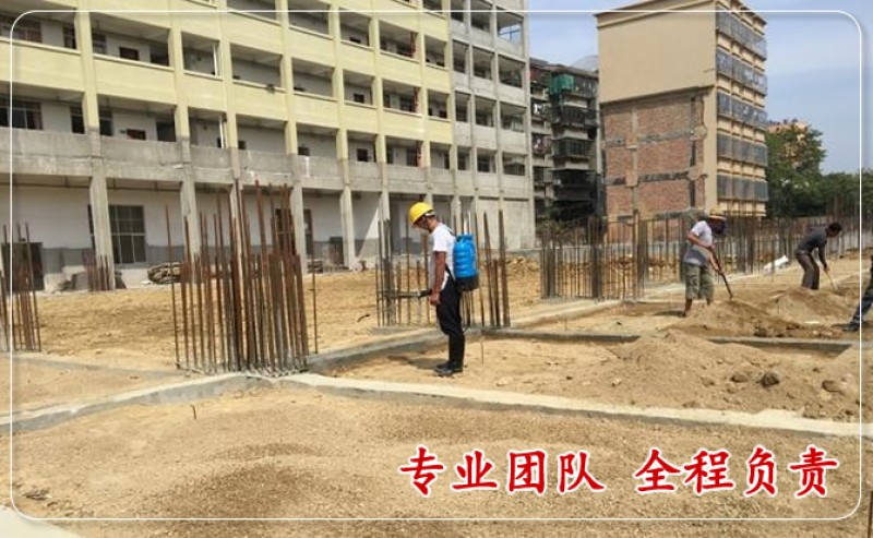 道路堤坝白蚁防治