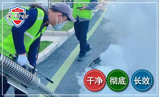 智能科技助力南方地区的白蚁防治