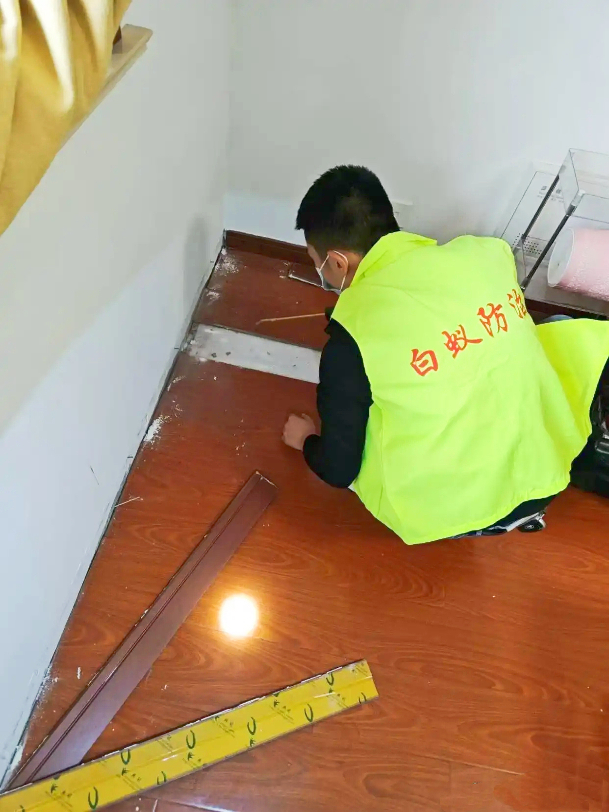 白蚁防治电话 白蚁防治电话