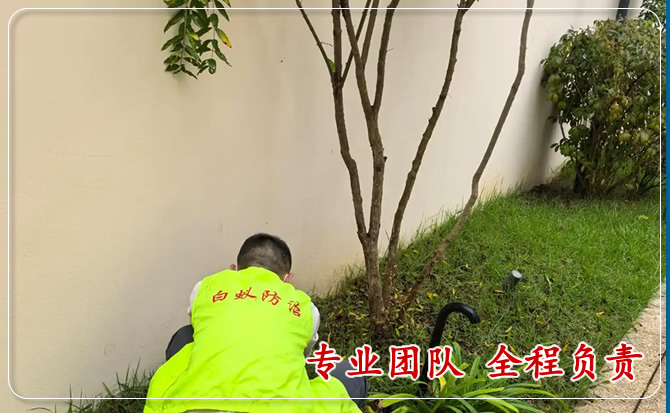 安洁士白蚁防治官方电话 安洁士白蚁防治官方电话