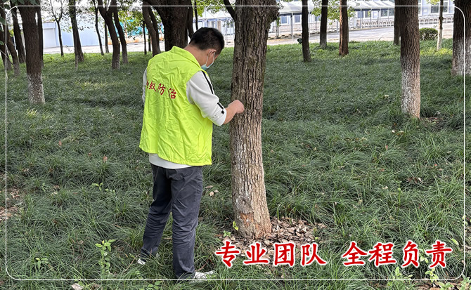 安洁士白蚁防治电话 安洁士白蚁防治电话
