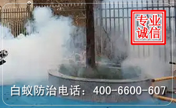 白蚁防治19.jpg 白蚁防治19.jpg