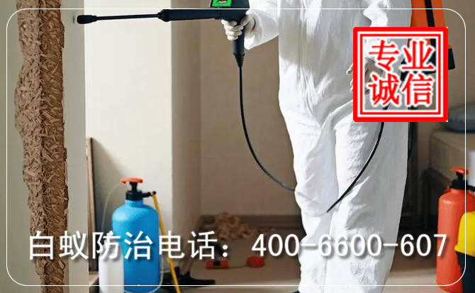 白蚁防治.jpg 白蚁防治.jpg