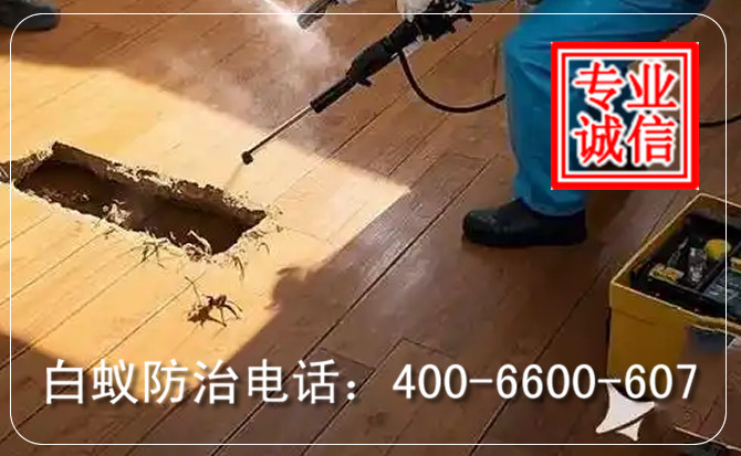 白蚁防治2.jpg 白蚁防治2.jpg
