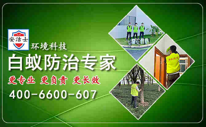 关于安洁士白蚁防治公司