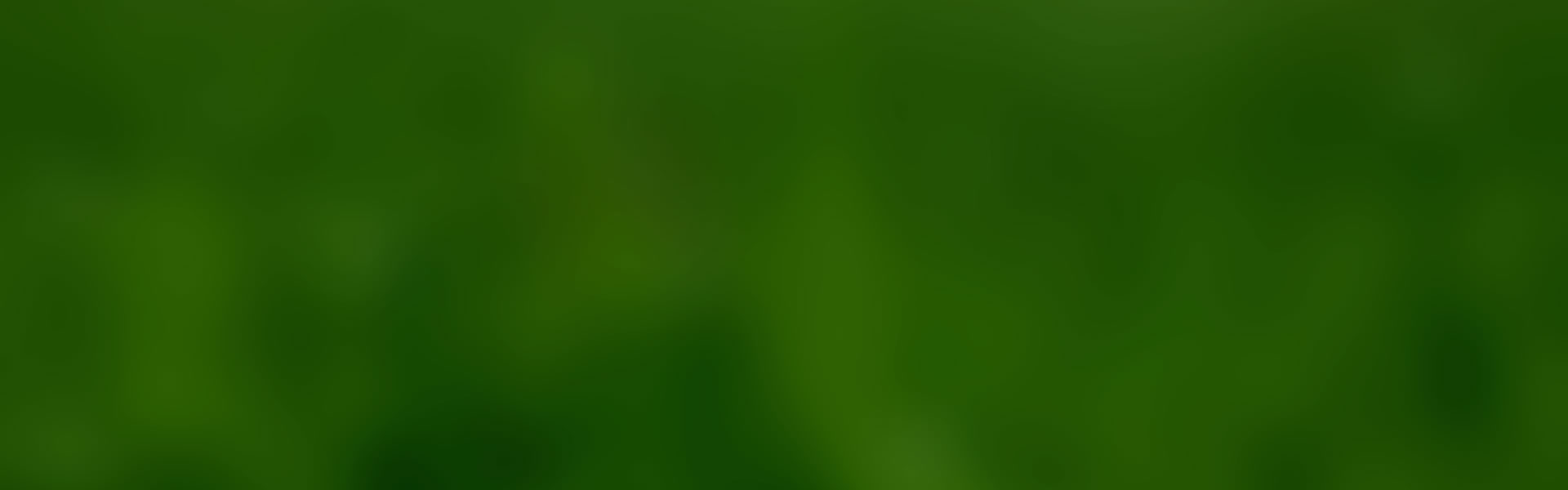 专业白蚁防治,诚信服务