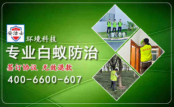 除蟑螂文章